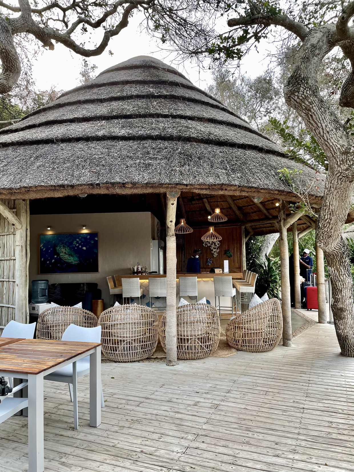 Digital Marketing for Tourism Client Visit | Thonga Beach Lodge Bar Area | Isibindi Africa Lodges | Eco Africa Digital