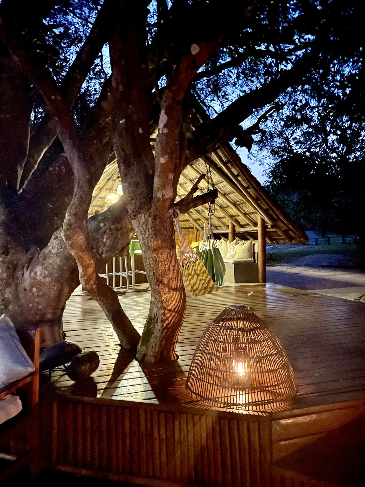 Digital Marketing for Tourism Client Visit | Kosi Forest Lodge Bar Area | Isibindi Africa Lodges | Eco Africa Digital