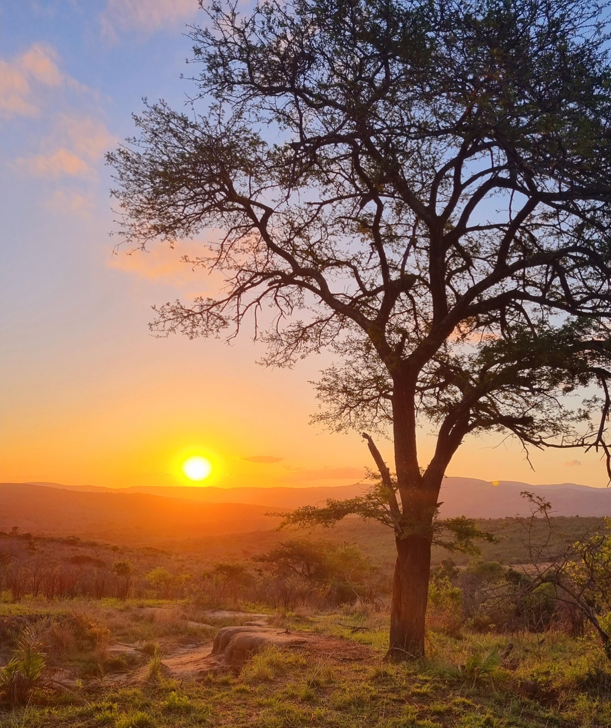 Digital Marketing for Tourism Client Visit | Rhino Ridge Safari Lodge sunset on bush walk | Isibindi Africa Lodges | Eco Africa Digital